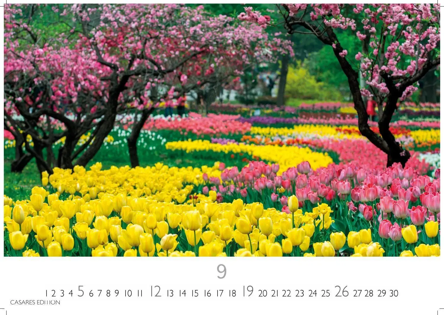 Bild: 9781835248812 | Gartenparadiese Kalender 2027- Der Kalender für alle, die Gärten...