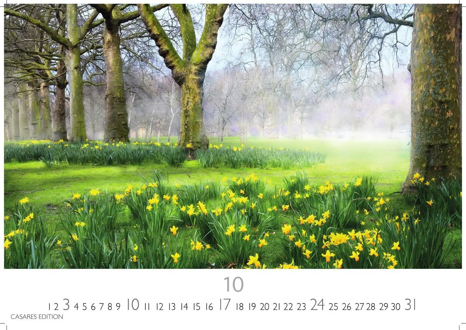 Bild: 9781835248812 | Gartenparadiese Kalender 2027- Der Kalender für alle, die Gärten...
