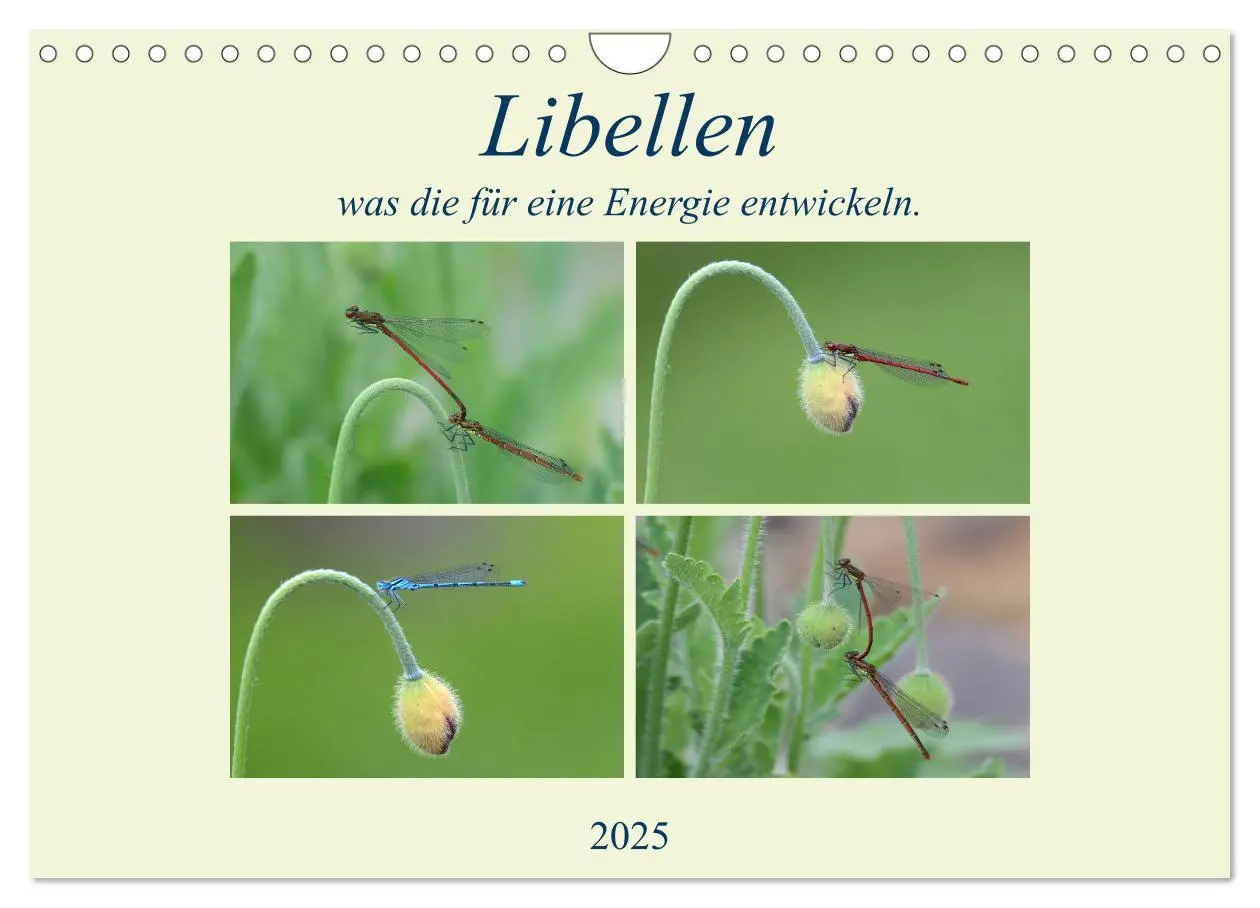 Cover: 9783435158812 | Libellen, was die für eine Energie entwickeln. (Wandkalender 2025...