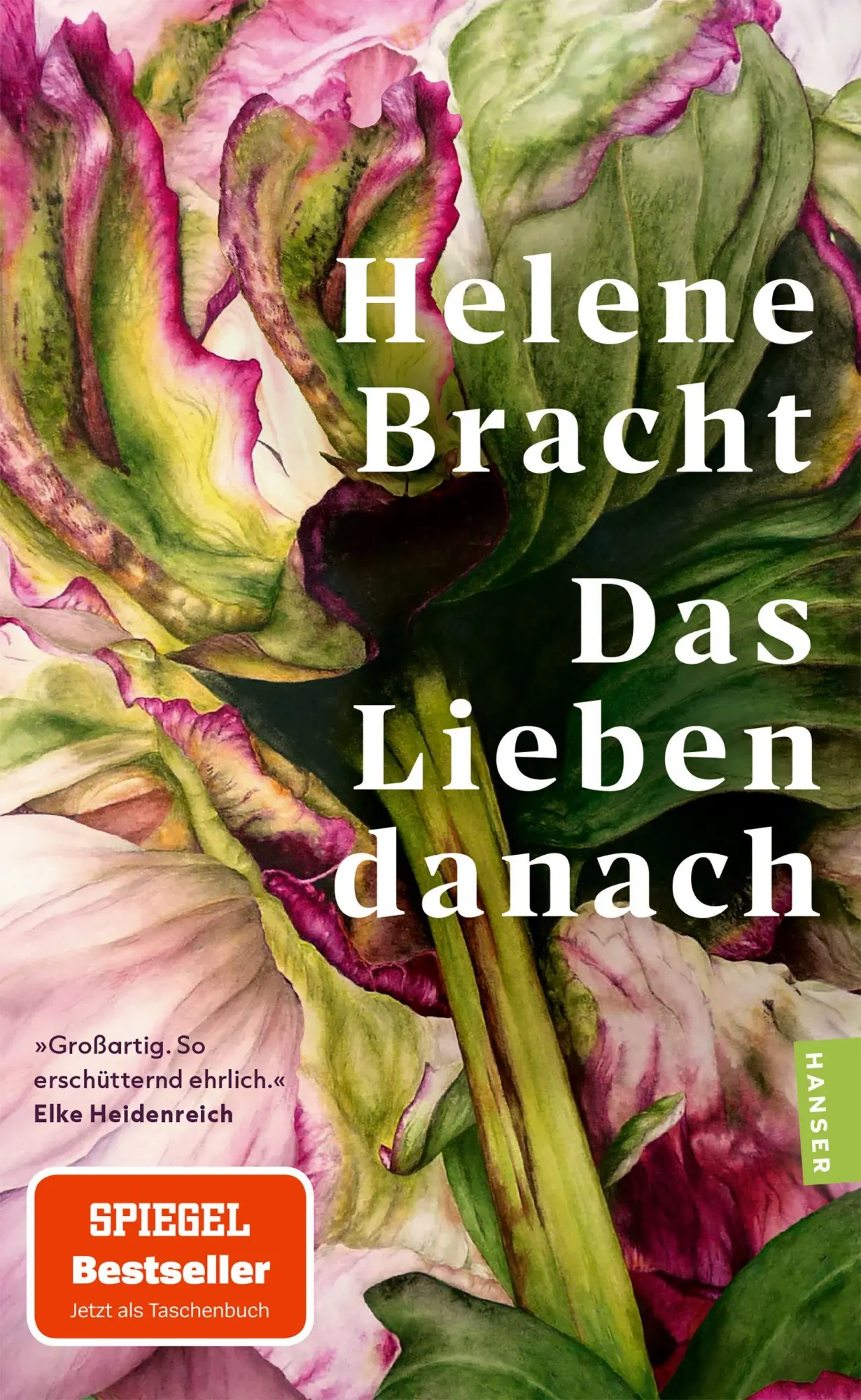 Cover: 9783446288812 | Das Lieben danach | Helene Bracht | Taschenbuch | 192 S. | Deutsch