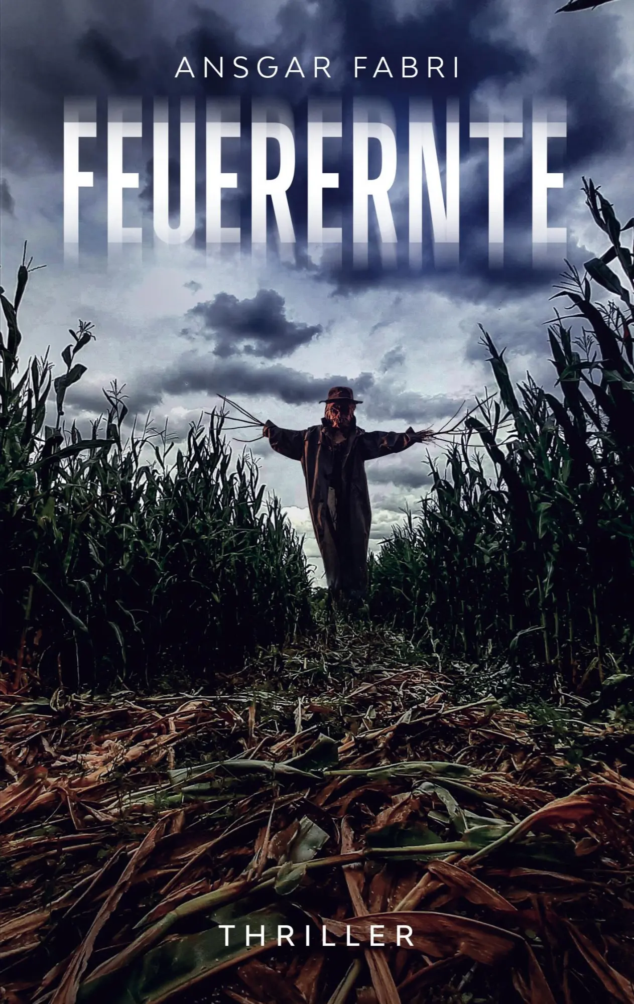Cover: 9783740768812 | Feuerernte | Ansgar Fabri | Taschenbuch | 264 S. | Deutsch | 2020