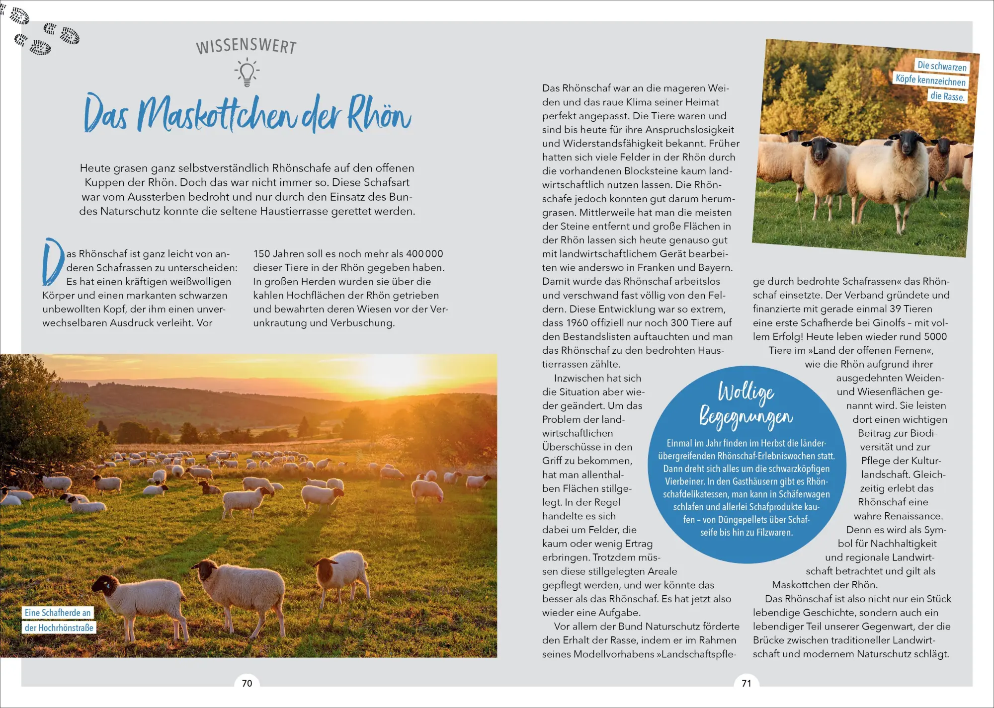 Bild: 9783862468812 | Wanderparadies Franken | Wilfried Und Lisa Bahnmüller (u. a.) | Buch