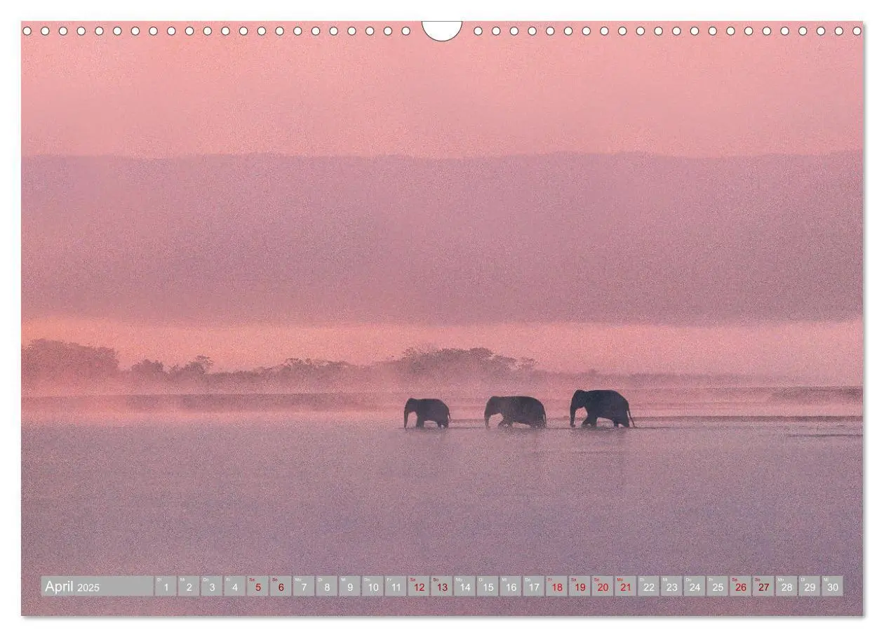 Bild: 9783435078912 | Spirit of Asia - Im Reich der guten Geister (Wandkalender 2025 DIN...