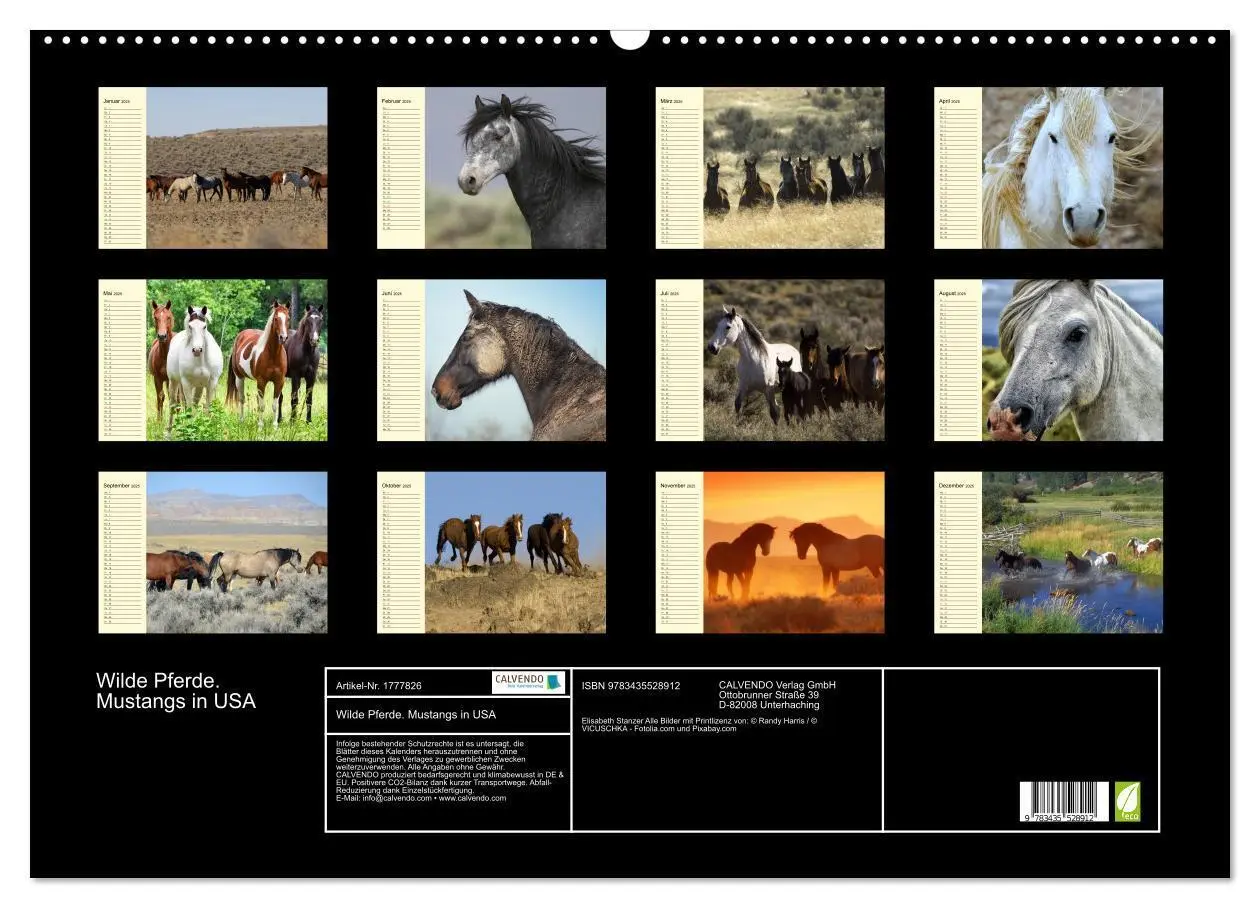 Bild: 9783435528912 | Wilde Pferde. Mustangs in USA (Wandkalender 2025 DIN A2 quer),...