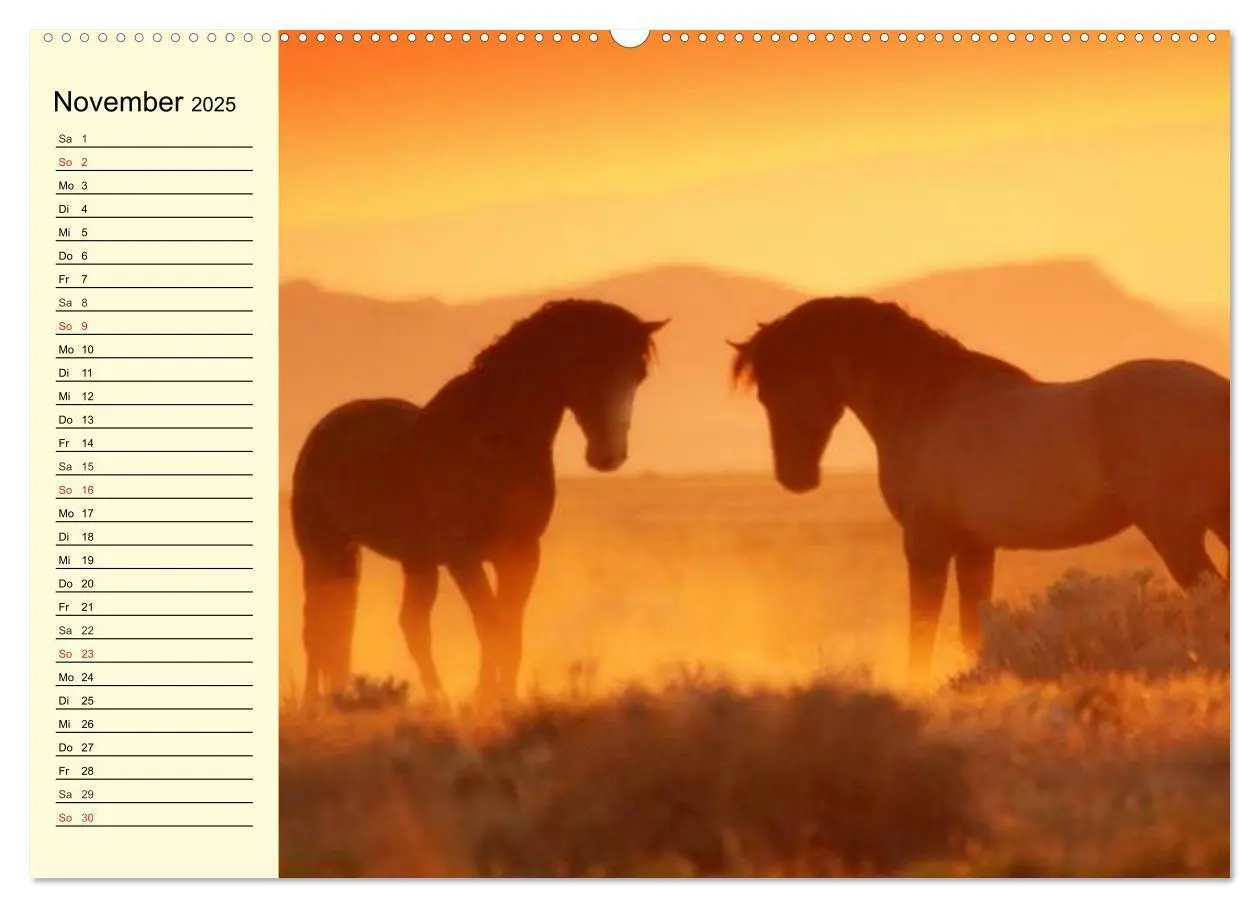 Bild: 9783435528912 | Wilde Pferde. Mustangs in USA (Wandkalender 2025 DIN A2 quer),...