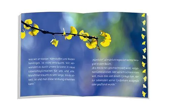 Bild: 9783869178912 | Das Märchen vom Lebensbaum | Ulrich Peters | Taschenbuch | 32 S.
