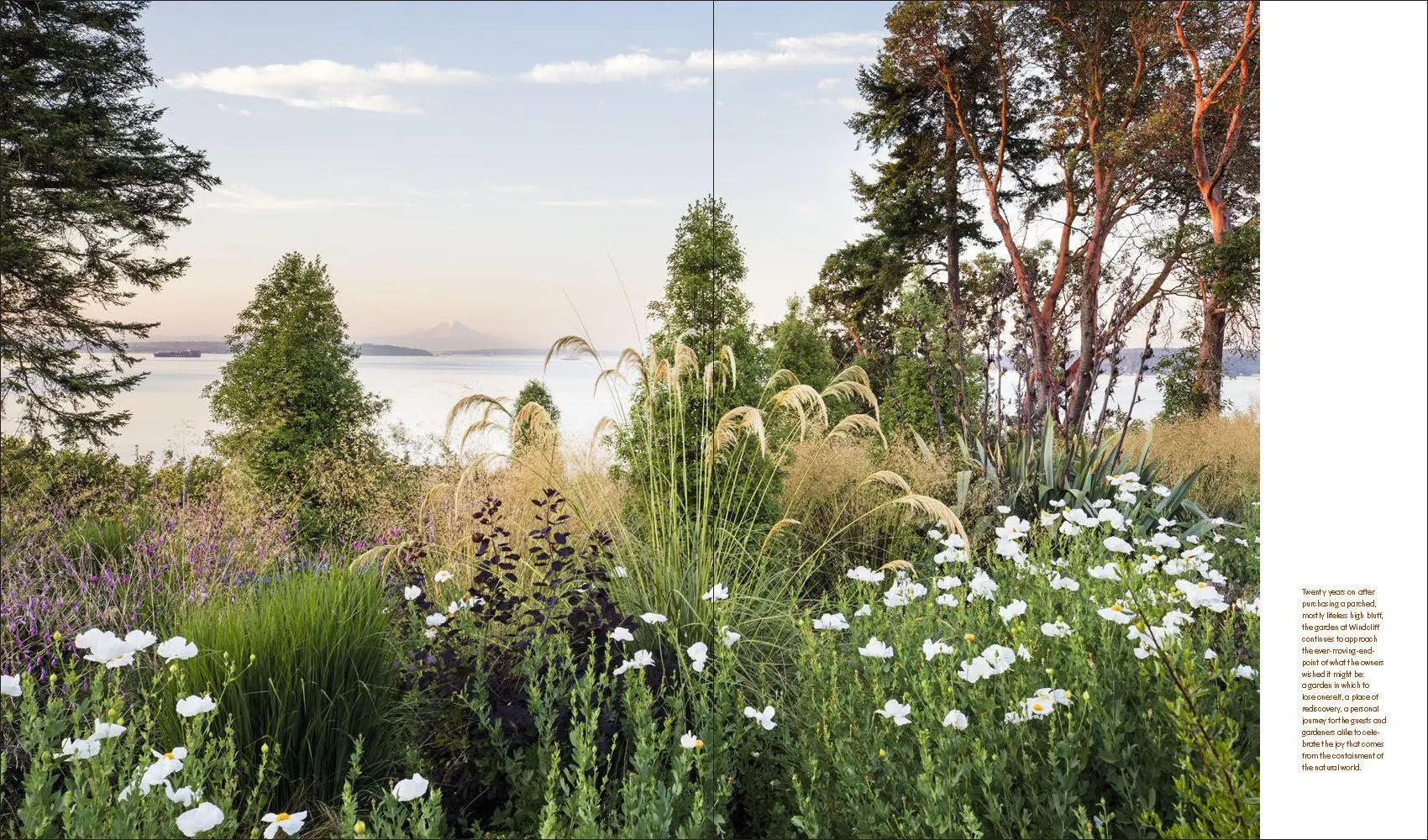 Bild: 9781604699012 | Windcliff | A Story of People, Plants, and Gardens | Daniel J Hinkley