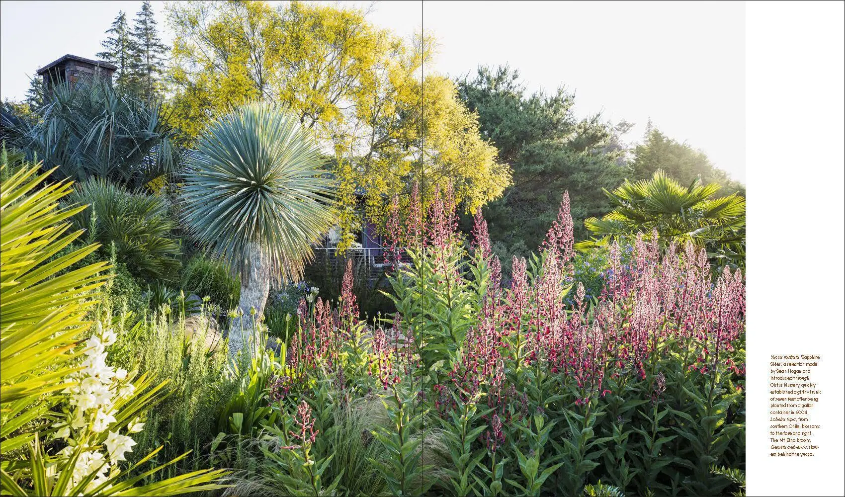 Bild: 9781604699012 | Windcliff | A Story of People, Plants, and Gardens | Daniel J Hinkley