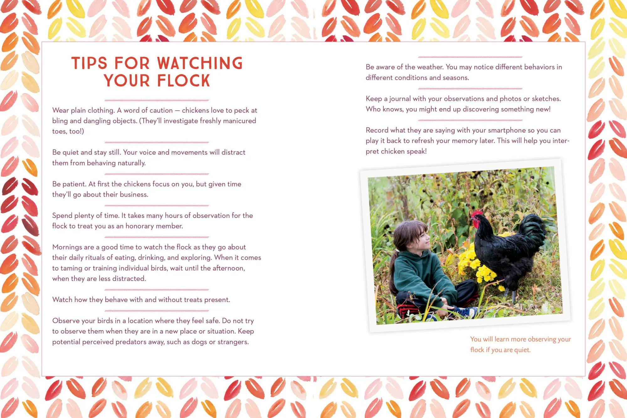 Bild: 9781612129112 | How to Speak Chicken | Melissa Caughey | Taschenbuch | Englisch | 2017