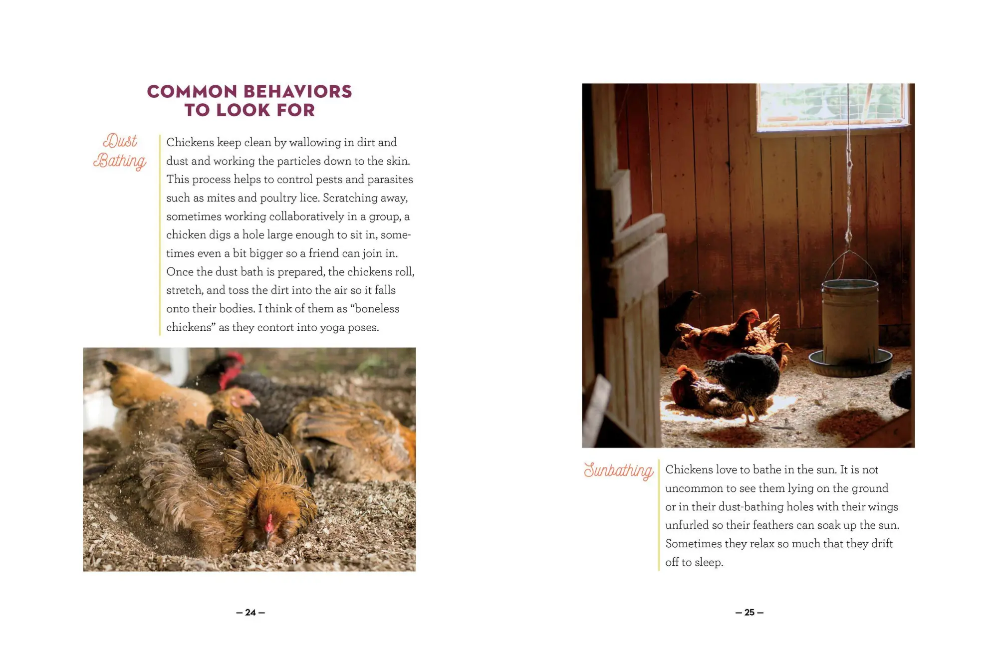 Bild: 9781612129112 | How to Speak Chicken | Melissa Caughey | Taschenbuch | Englisch | 2017