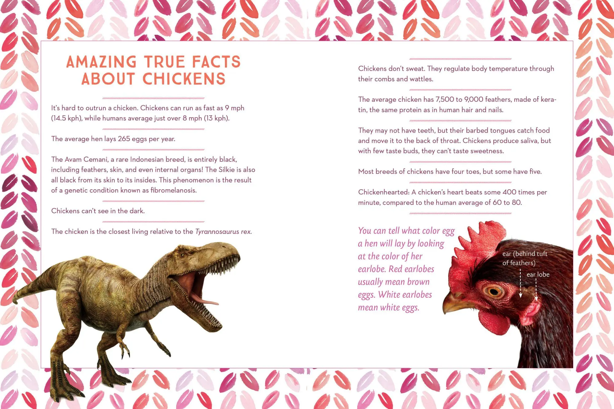 Bild: 9781612129112 | How to Speak Chicken | Melissa Caughey | Taschenbuch | Englisch | 2017