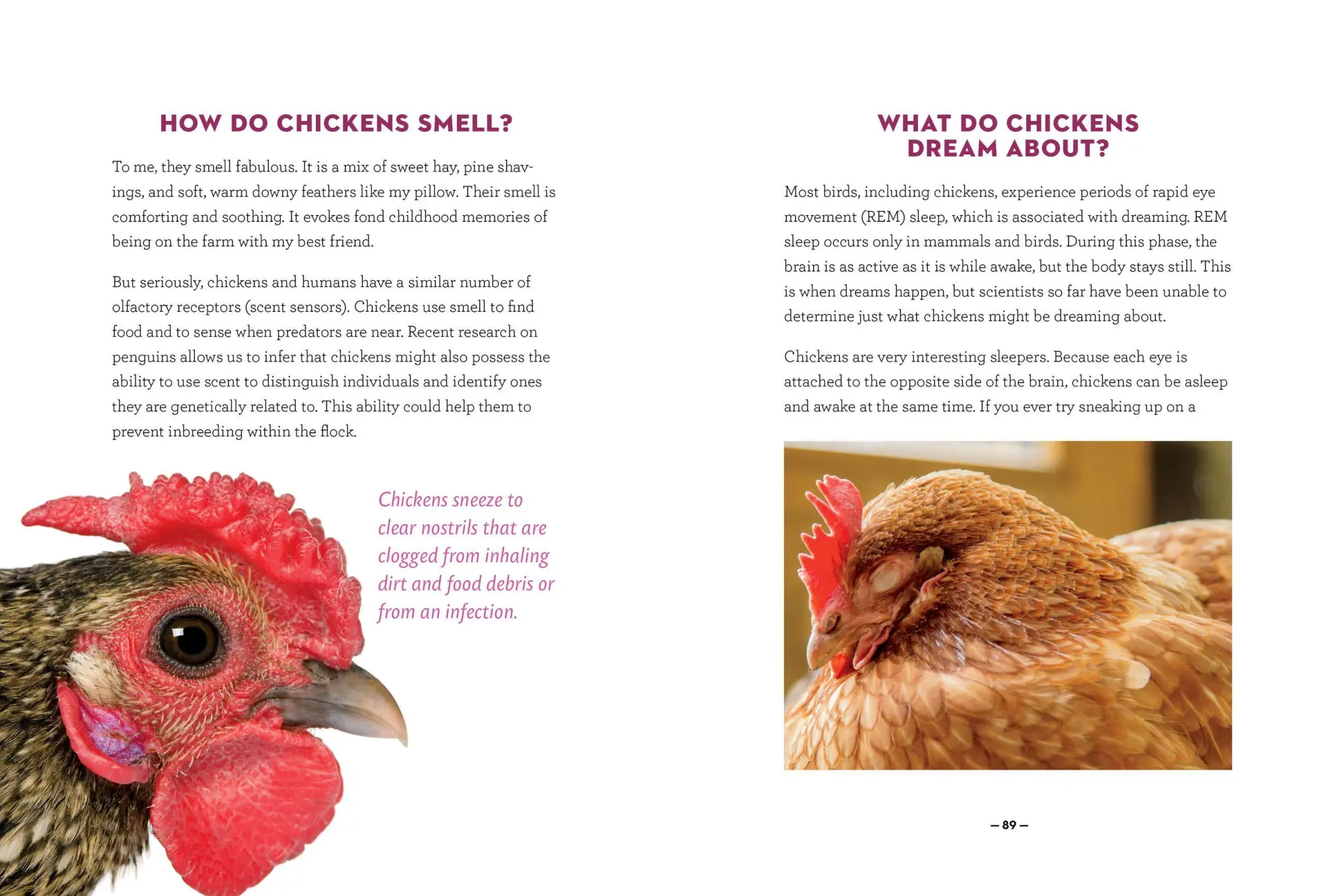 Bild: 9781612129112 | How to Speak Chicken | Melissa Caughey | Taschenbuch | Englisch | 2017
