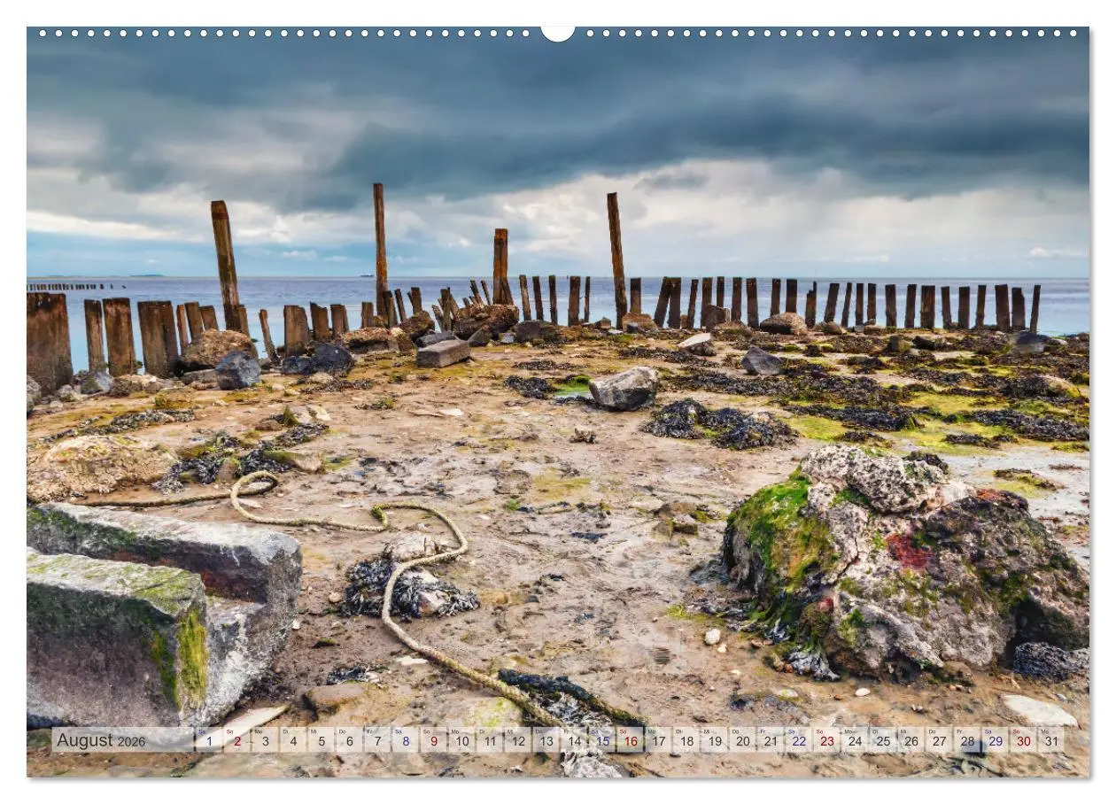 Bild: 9783457669112 | Texel - Kleine Insel, große Vielfalt (Wandkalender 2026 DIN A2...