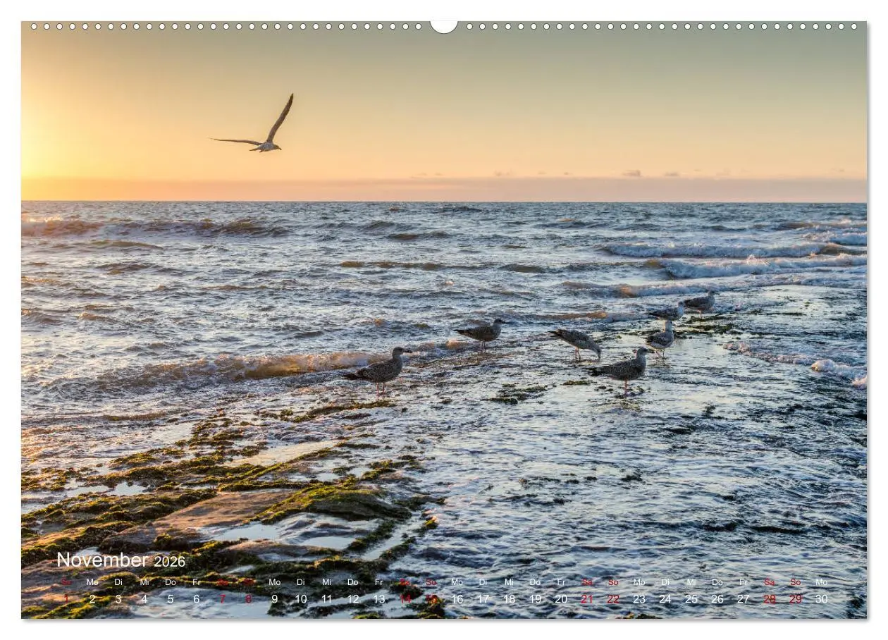 Bild: 9783457739112 | Flandern - Stadt und Strand (hochwertiger Premium Wandkalender 2026...