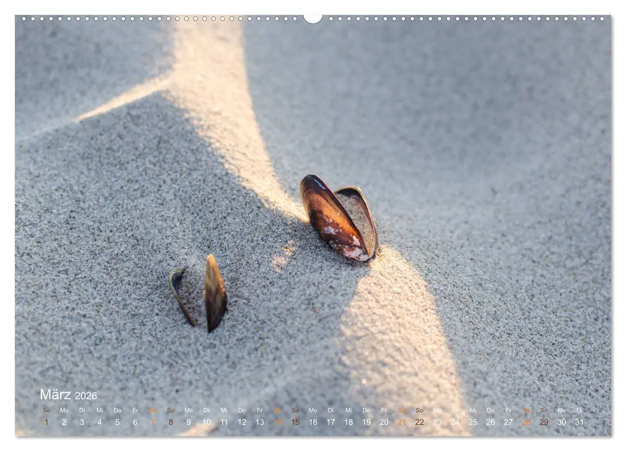 Bild: 9783457739112 | Flandern - Stadt und Strand (hochwertiger Premium Wandkalender 2026...