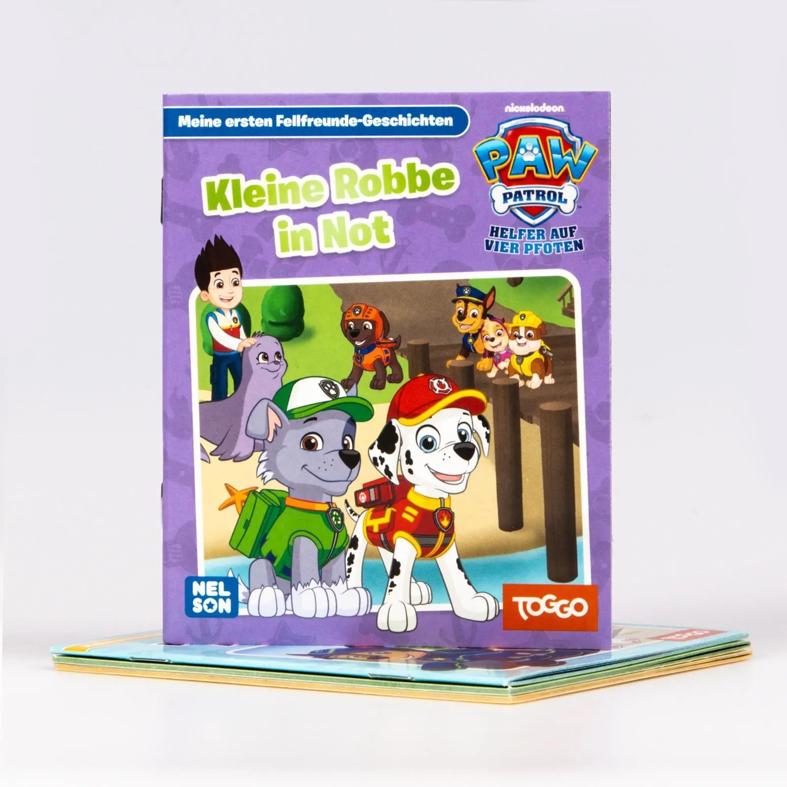Bild: 9783845129112 | Nelson Mini-Bücher: 4er PAW Patrol 29-32 | Taschenbuch | 20 S. | 2025