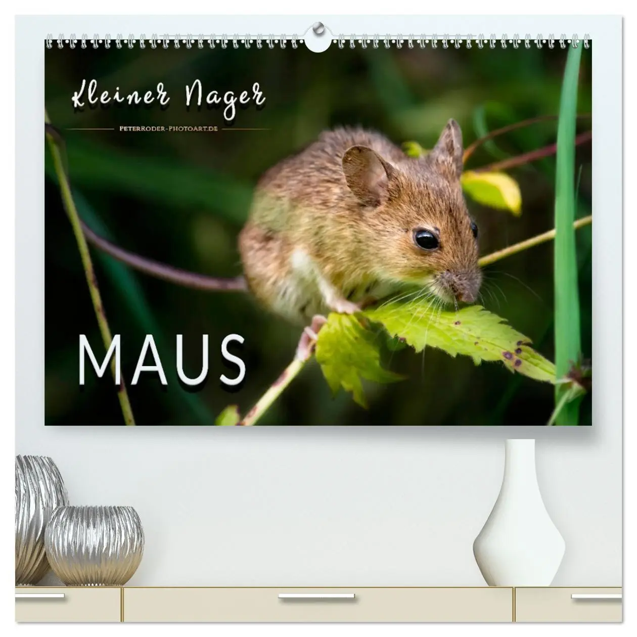 Cover: 9783457729212 | Kleiner Nager - Maus (hochwertiger Premium Wandkalender 2026 DIN A2...