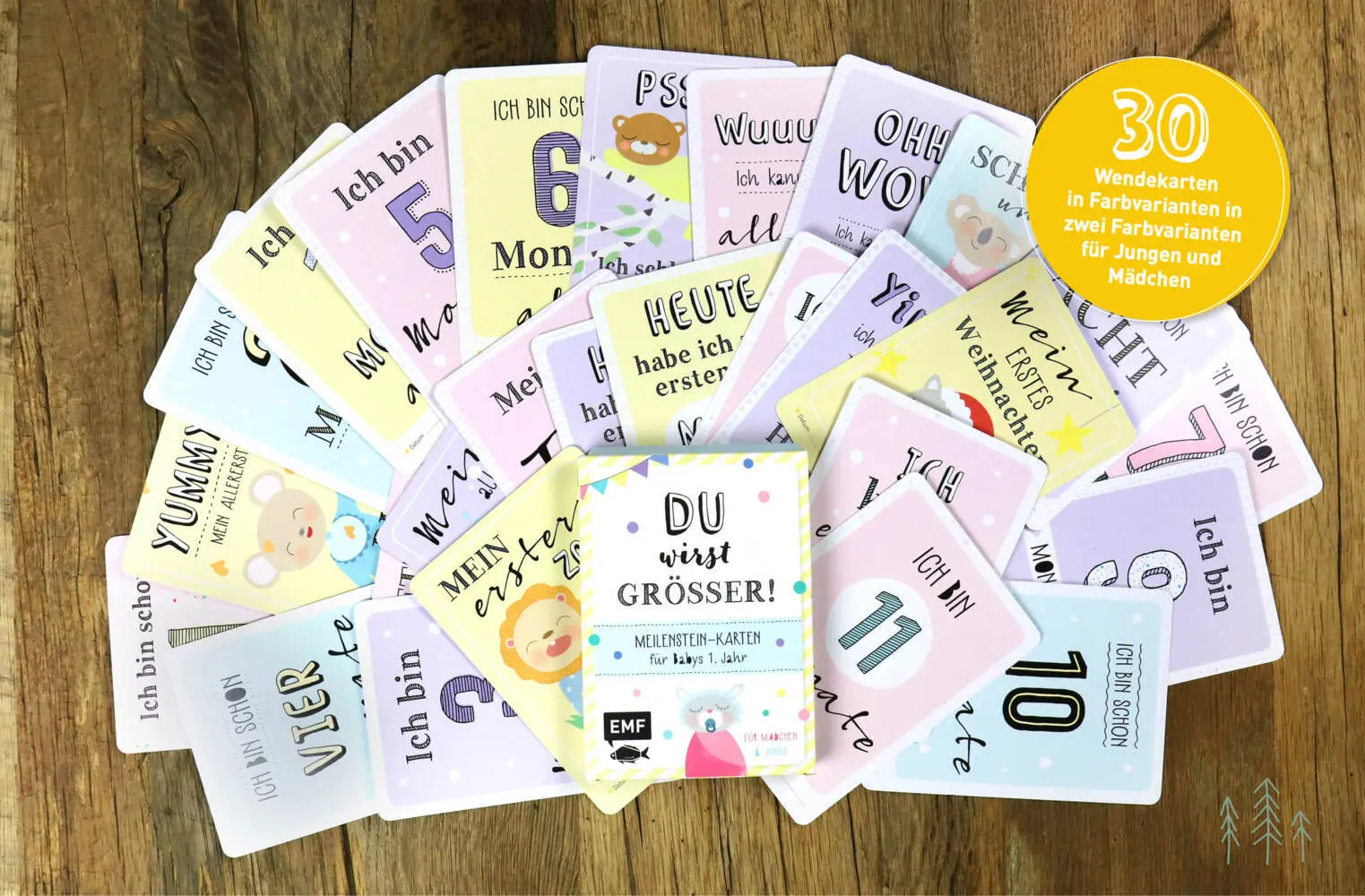 Bild: 9783863559212 | Du wirst größer! Meilenstein-Karten für Babys 1. Jahr | Box | 30 S.