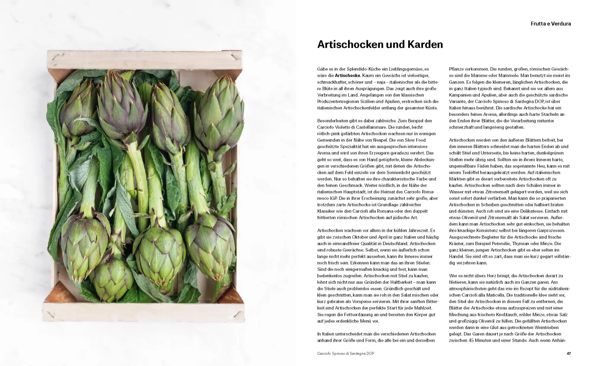 Bild: 9783832169312 | Splendido. Italienische Produktkunde und Rezepte | Gottschall (u. a.)