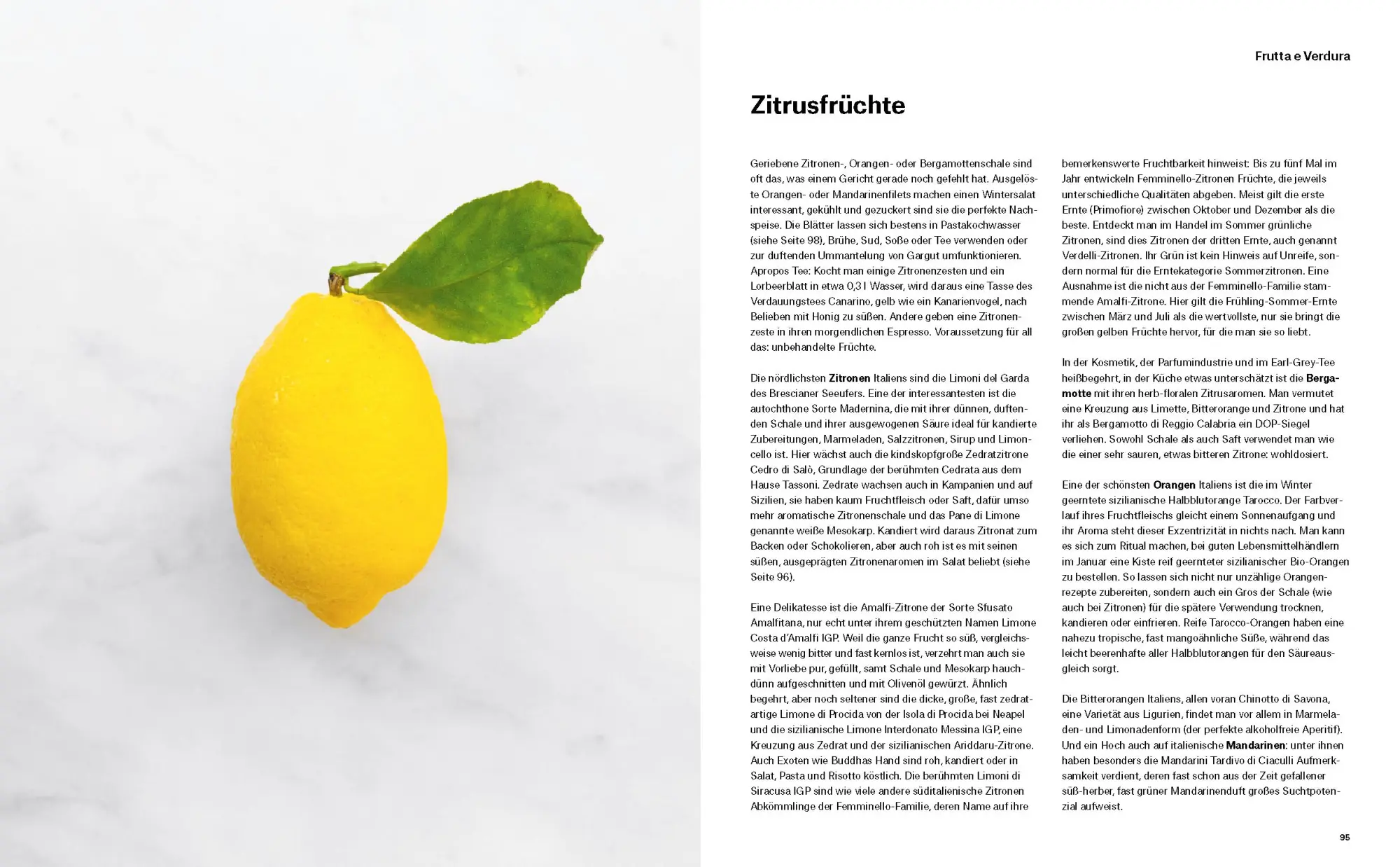 Bild: 9783832169312 | Splendido. Italienische Produktkunde und Rezepte | Gottschall (u. a.)