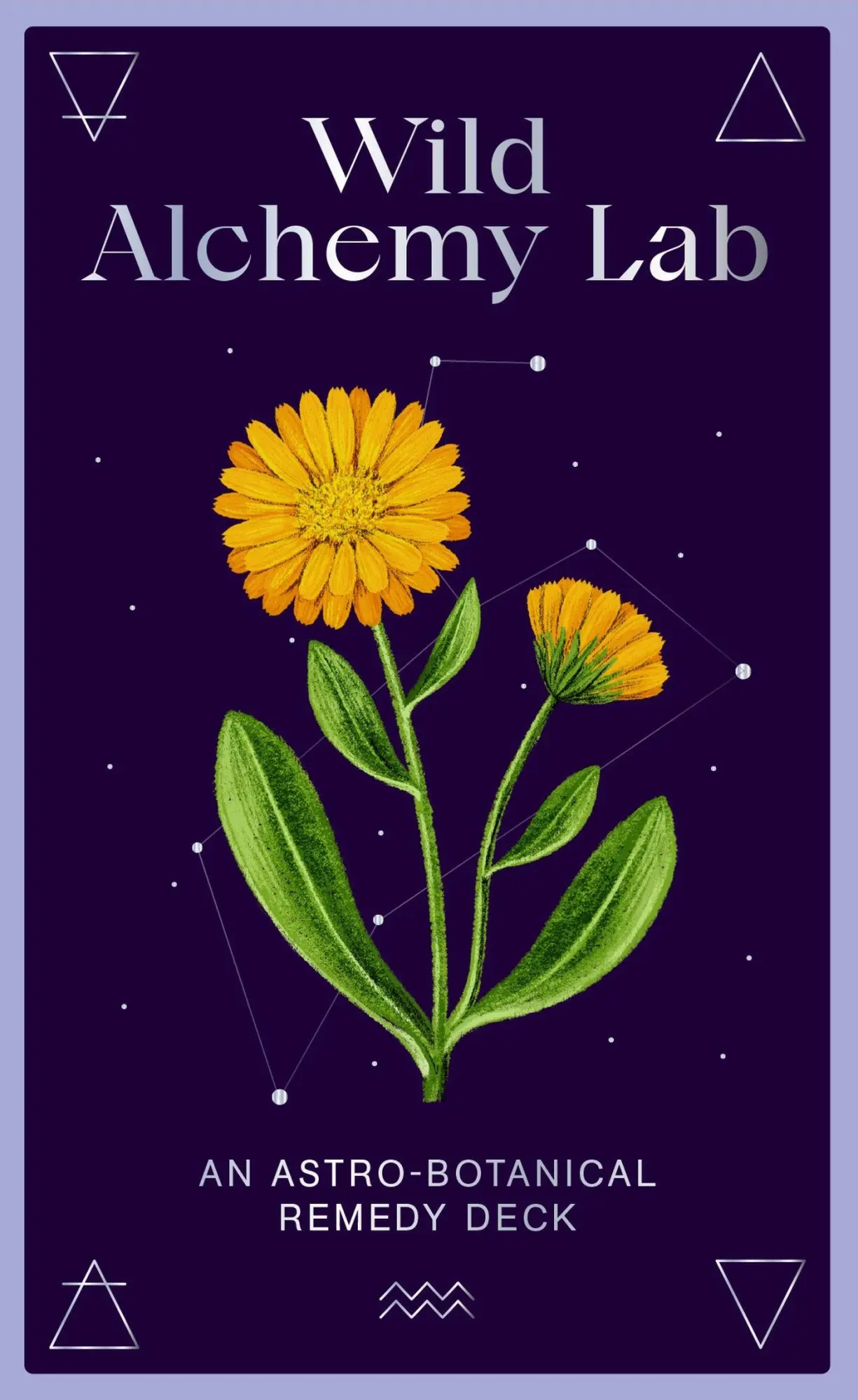 Cover: 9780857829412 | Wild Alchemy Lab | An Astro-Botanical Remedy Deck | Jemma Foster | Box