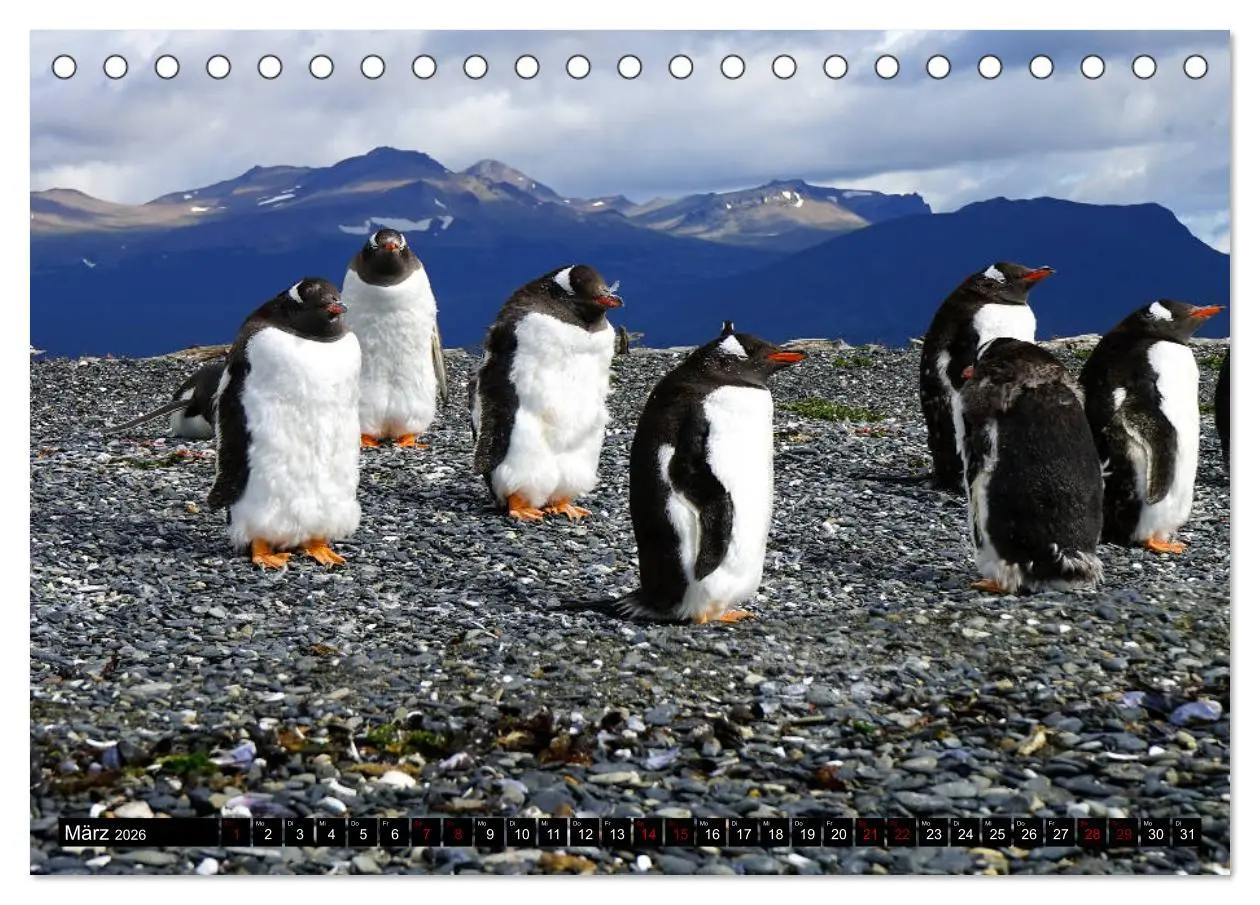 Bild: 9783457869512 | Argentinien - Von Iguazu bis Feuerland (Tischkalender 2026 DIN A5...
