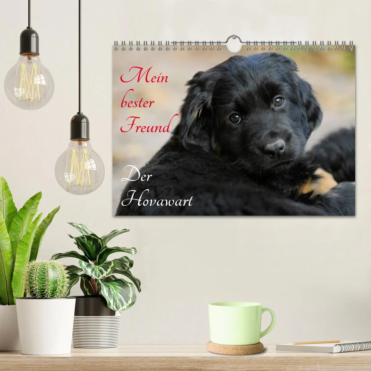 Bild: 9783516029512 | Mein bester Freund - Der Hovawart (Wandkalender 2026 DIN A4 quer),...