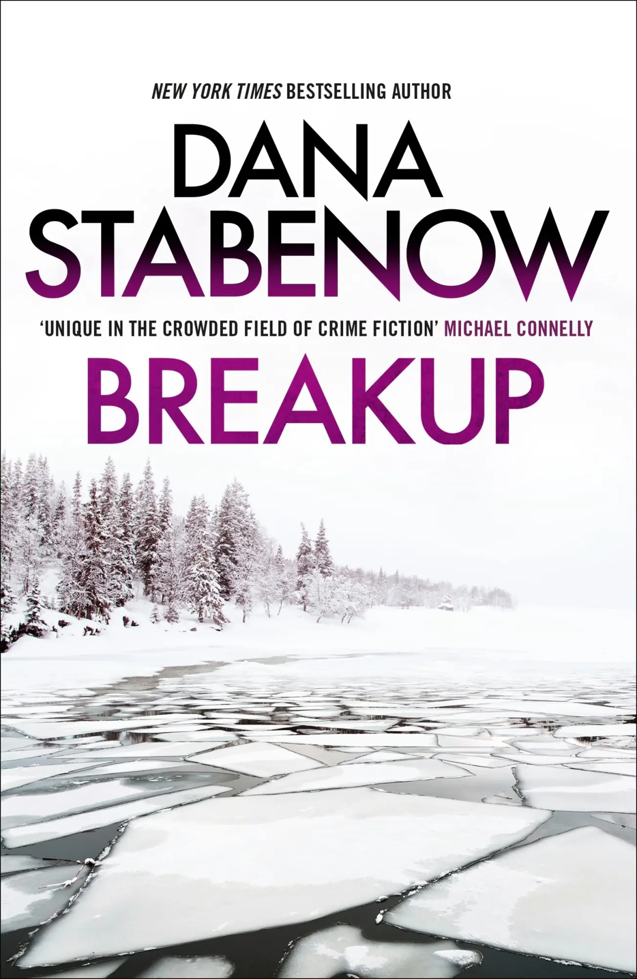 Cover: 9781804549612 | Breakup | Dana Stabenow | Taschenbuch | Kartoniert / Broschiert | 2023
