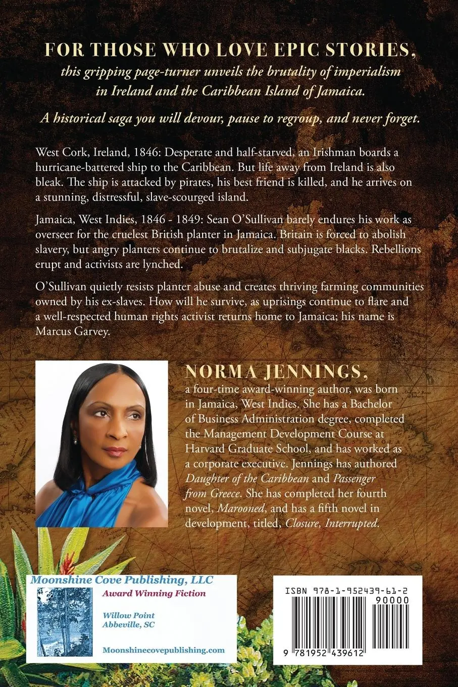 Rückseite: 9781952439612 | THE IRISH CONNECTION | Norma Jennings | Taschenbuch | Englisch | 2023