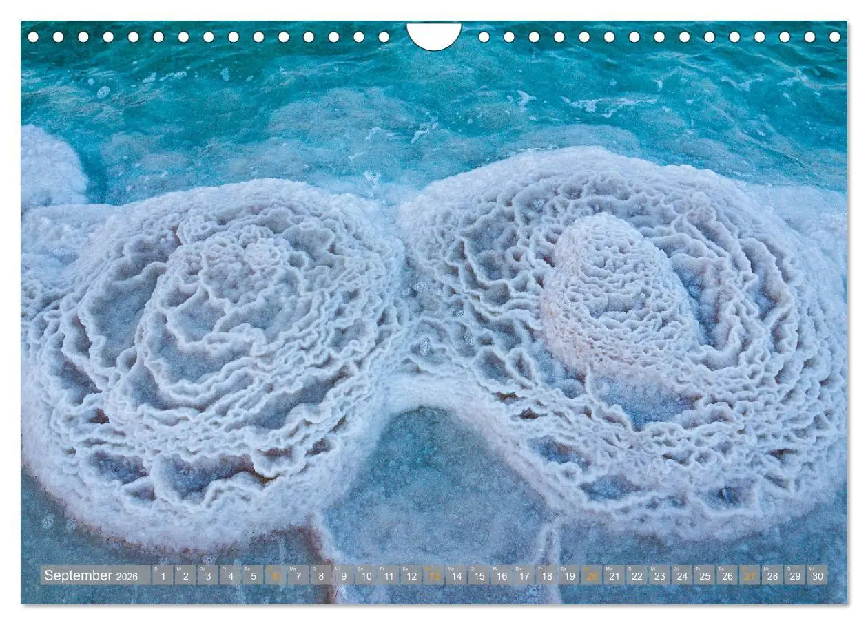 Bild: 9783457549612 | Negev - die Farben der Wüste (Wandkalender 2026 DIN A4 quer),...