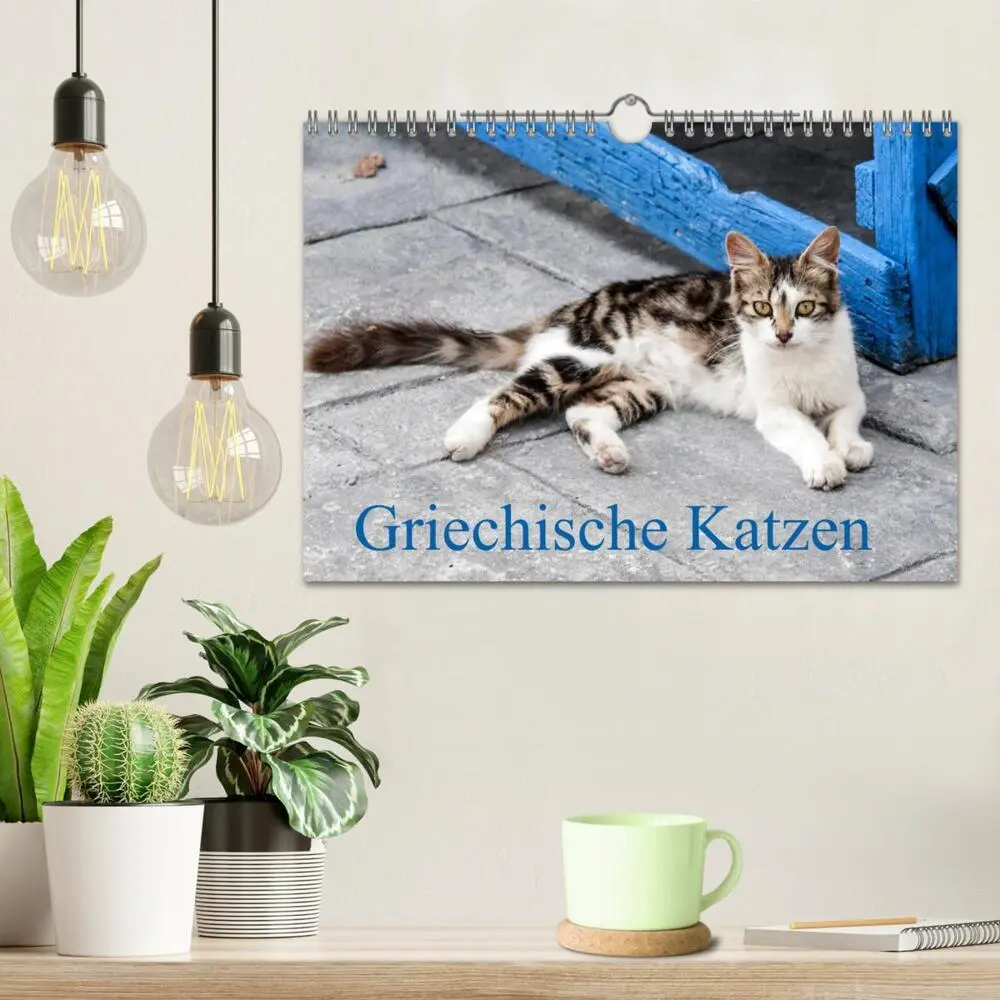 Bild: 9783435759712 | Griechische Katzen (Wandkalender 2025 DIN A4 quer), CALVENDO...