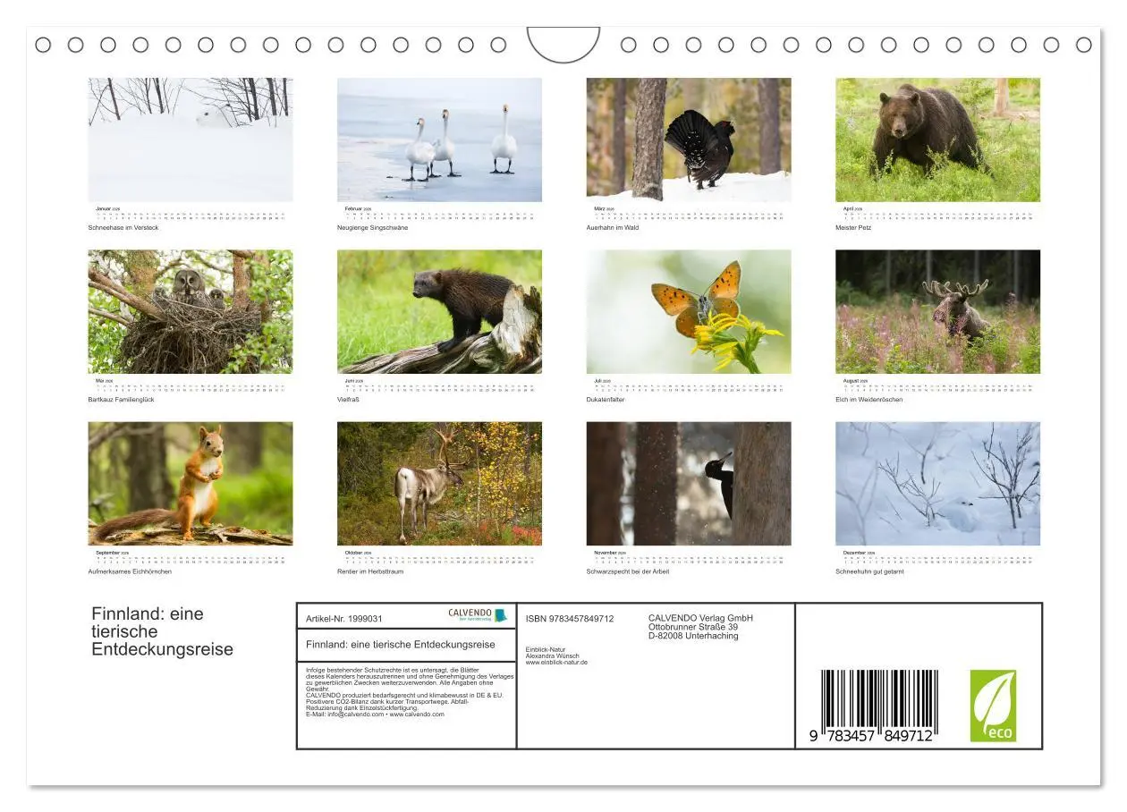 Bild: 9783457849712 | Finnland: eine tierische Entdeckungsreise (Wandkalender 2026 DIN A4...