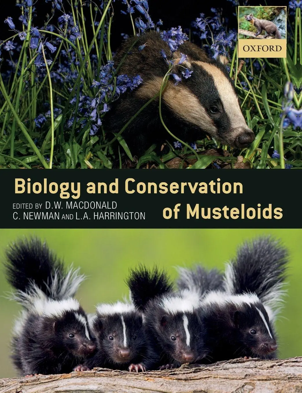 Cover: 9780198759812 | BIOLOGY &amp; CONSERVATION OF MUSTELOIDS P | Macdonald Et Al | Taschenbuch