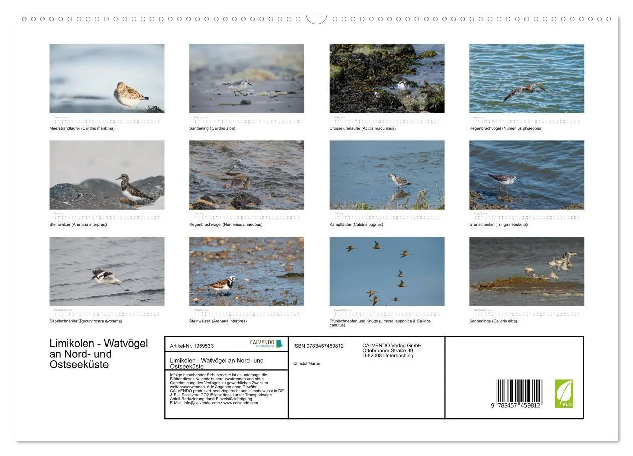 Bild: 9783457459812 | Limikolen - Watvögel an Nord- und Ostseeküste (hochwertiger Premium...