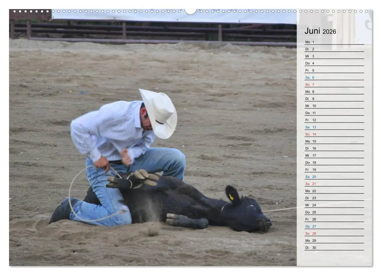 Bild: 9783457909812 | Faszination Rodeo (Wandkalender 2026 DIN A2 quer), CALVENDO...