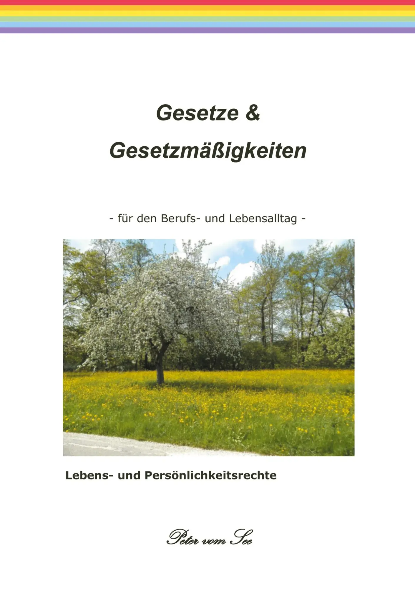 Cover: 9783842329812 | Gesetze &amp; Gesetzmäßigkeiten | Peter Vom See | Taschenbuch | 132 S.