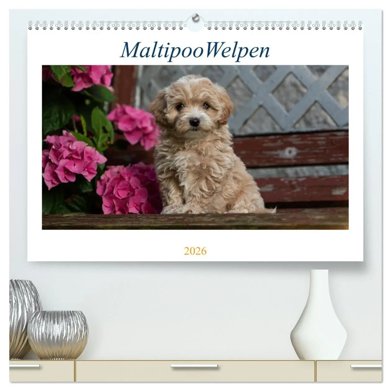 Cover: 9783457449912 | Maltipoo Welpen (hochwertiger Premium Wandkalender 2026 DIN A2...
