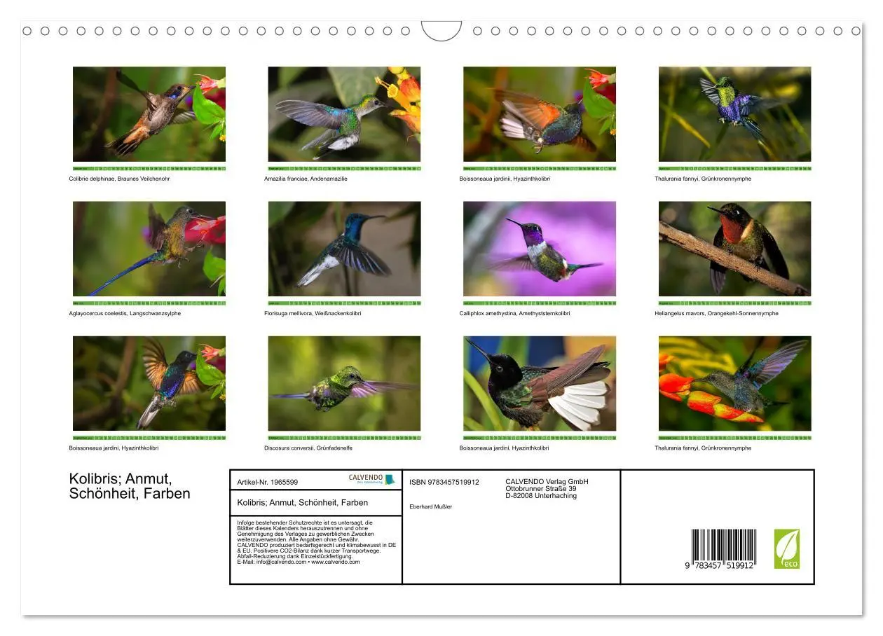 Bild: 9783457519912 | Kolibris; Anmut, Schönheit, Farben (Wandkalender 2026 DIN A3 quer),...