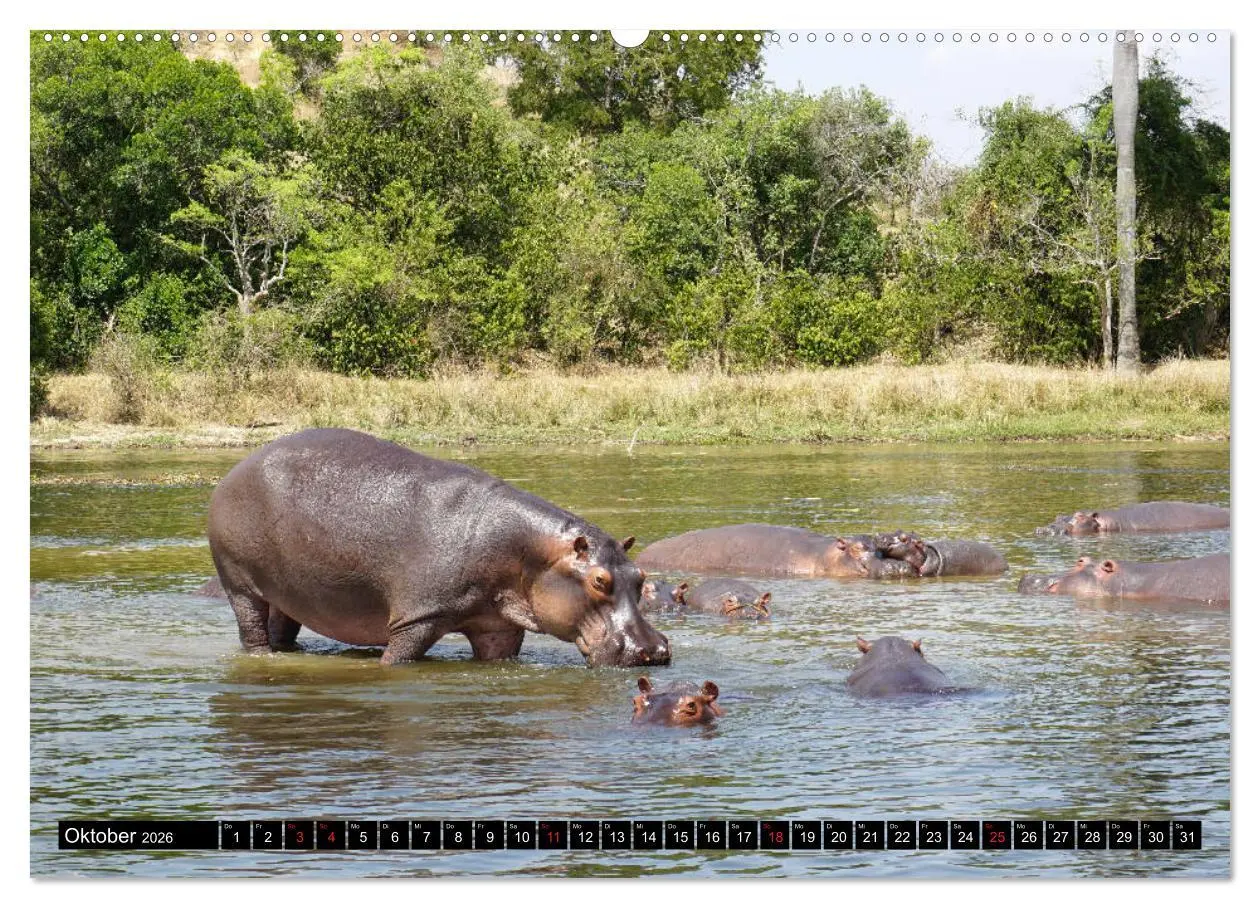 Bild: 9783457700013 | Afrikas Perle Uganda (hochwertiger Premium Wandkalender 2026 DIN A2...