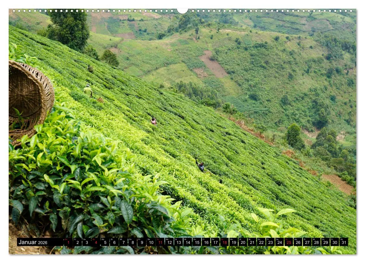 Bild: 9783457700013 | Afrikas Perle Uganda (hochwertiger Premium Wandkalender 2026 DIN A2...