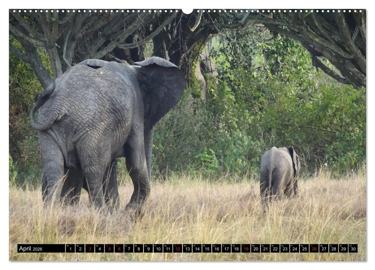 Bild: 9783457700013 | Afrikas Perle Uganda (hochwertiger Premium Wandkalender 2026 DIN A2...