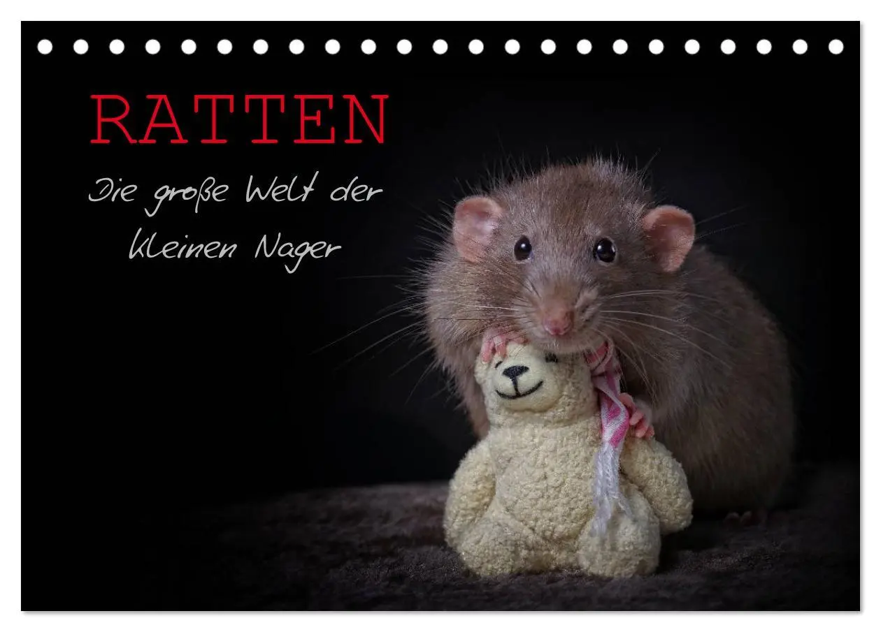 Cover: 9783516030013 | Ratten. Die große Welt der kleinen Nager (Tischkalender 2026 DIN A5...