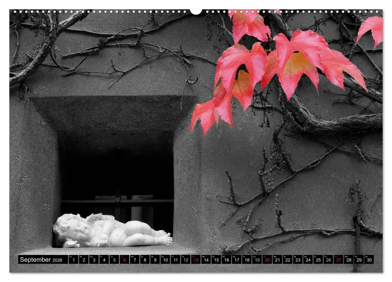 Bild: 9783516100013 | Schwarz - Weiß - Rot (Wandkalender 2026 DIN A2 quer), CALVENDO...