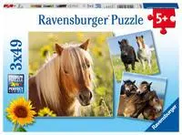 Cover: 4005556080113 | Liebe Pferde. Puzzle 3 x 49 Teile | Spiel | Kinderpuzzle Standard 3x49