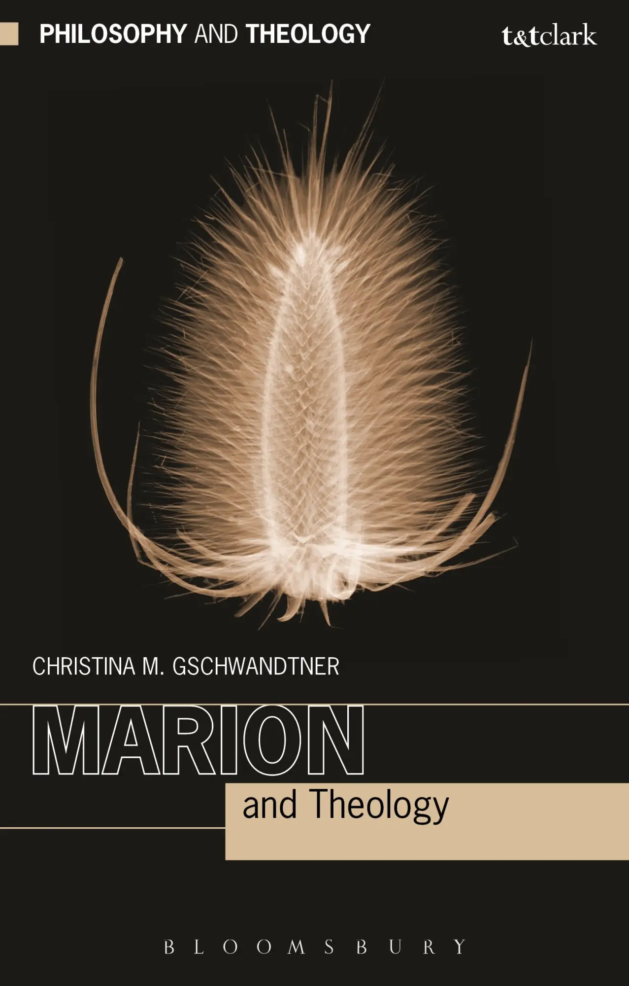 Cover: 9780567660213 | Marion and Theology | Christina M. Gschwandtner | Taschenbuch | 2016
