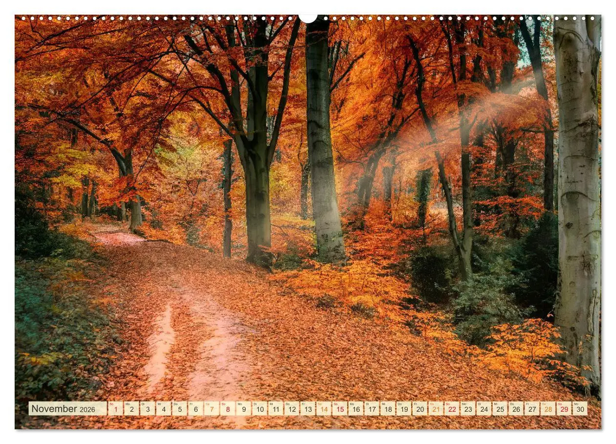 Bild: 9783457460313 | Traumwege entdecken (hochwertiger Premium Wandkalender 2026 DIN A2...