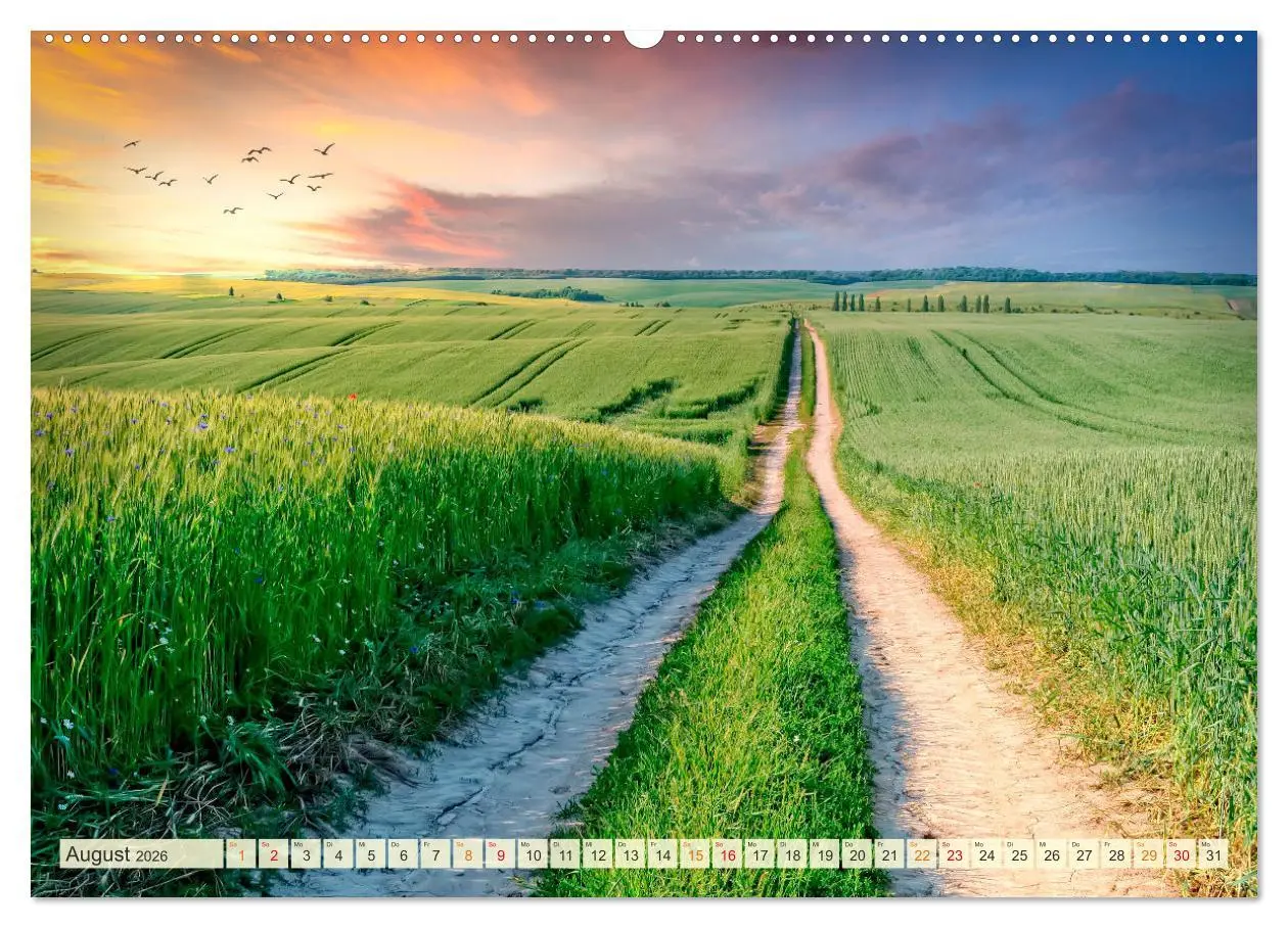 Bild: 9783457460313 | Traumwege entdecken (hochwertiger Premium Wandkalender 2026 DIN A2...