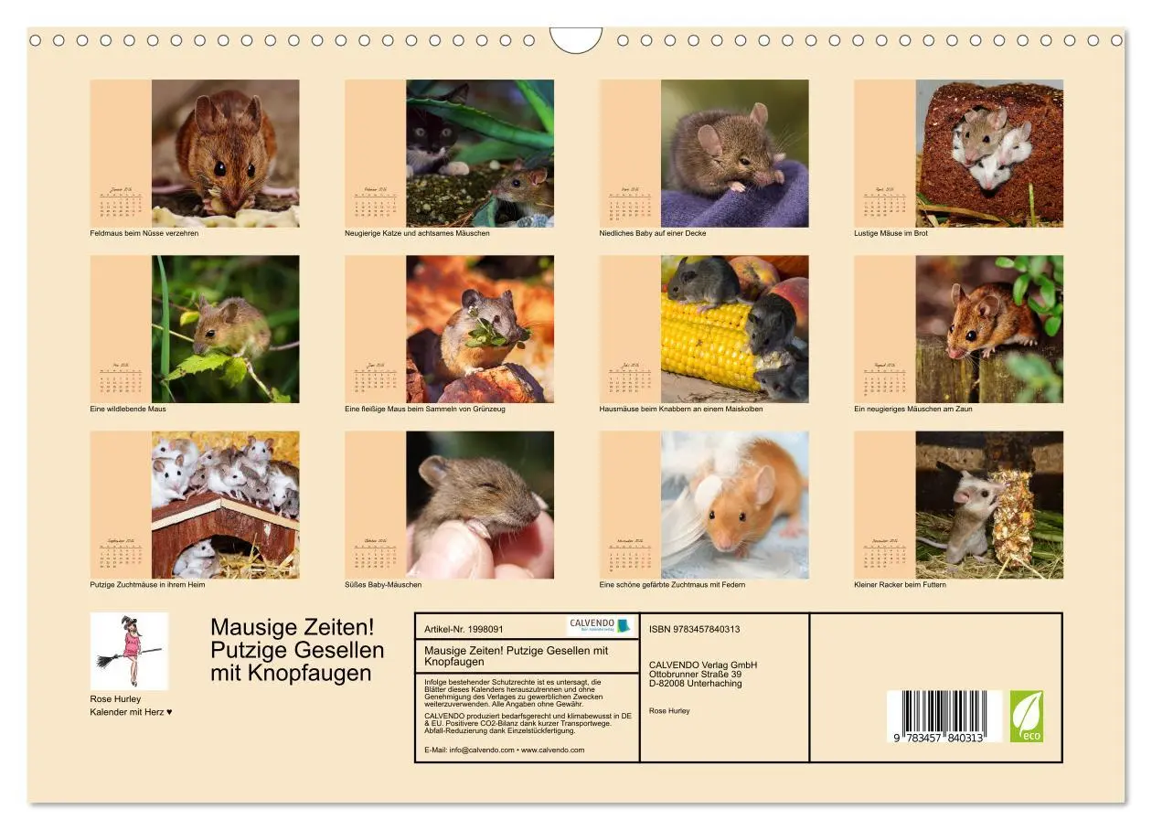 Bild: 9783457840313 | Mausige Zeiten! Putzige Gesellen mit Knopfaugen (Wandkalender 2026...