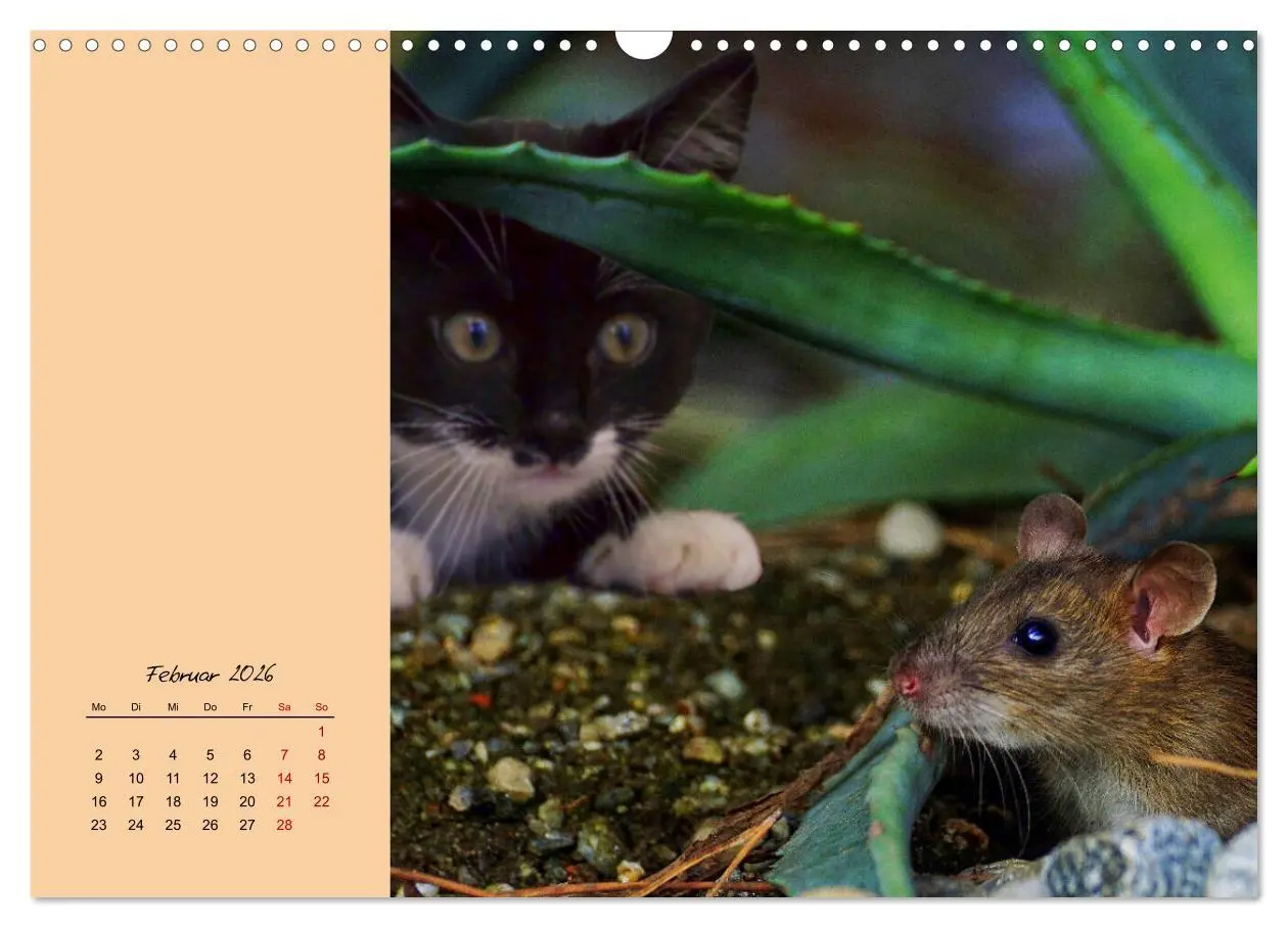 Bild: 9783457840313 | Mausige Zeiten! Putzige Gesellen mit Knopfaugen (Wandkalender 2026...