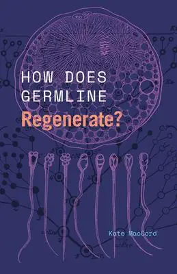 Cover: 9780226830513 | How Does Germline Regenerate? | Kate Maccord | Taschenbuch | Englisch